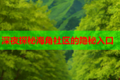 深夜探秘海角社区的隐秘入口