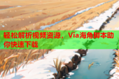 轻松解析视频资源，Via海角脚本助你快速下载